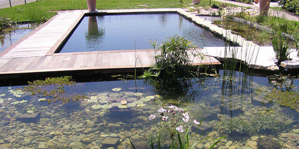 bassin
