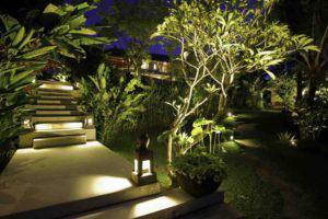 eclairage-exterieur-lanternes-poser-plantes-exotiques-bananier