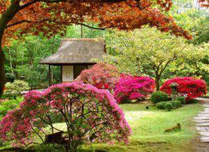 jardin-japonais-buis-arbustes-exotiques-pavillon-assorti-e1456048258685