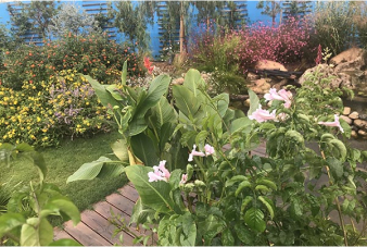 Réalisations de jardin Carry-le-Rouet